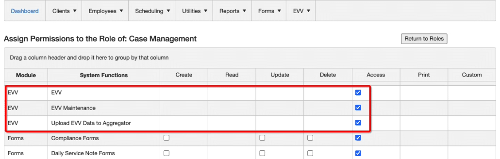 EVV security permissions