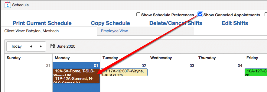 Show Canceled shifts in QSP schedule