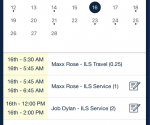 ILS Objective notes_qsp mobile app
