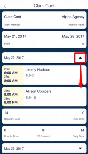 qsp-electronic-timesheets-details