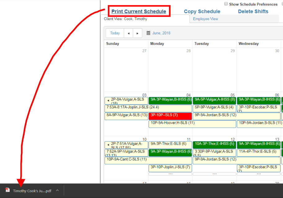print client or employee schedule from QSP